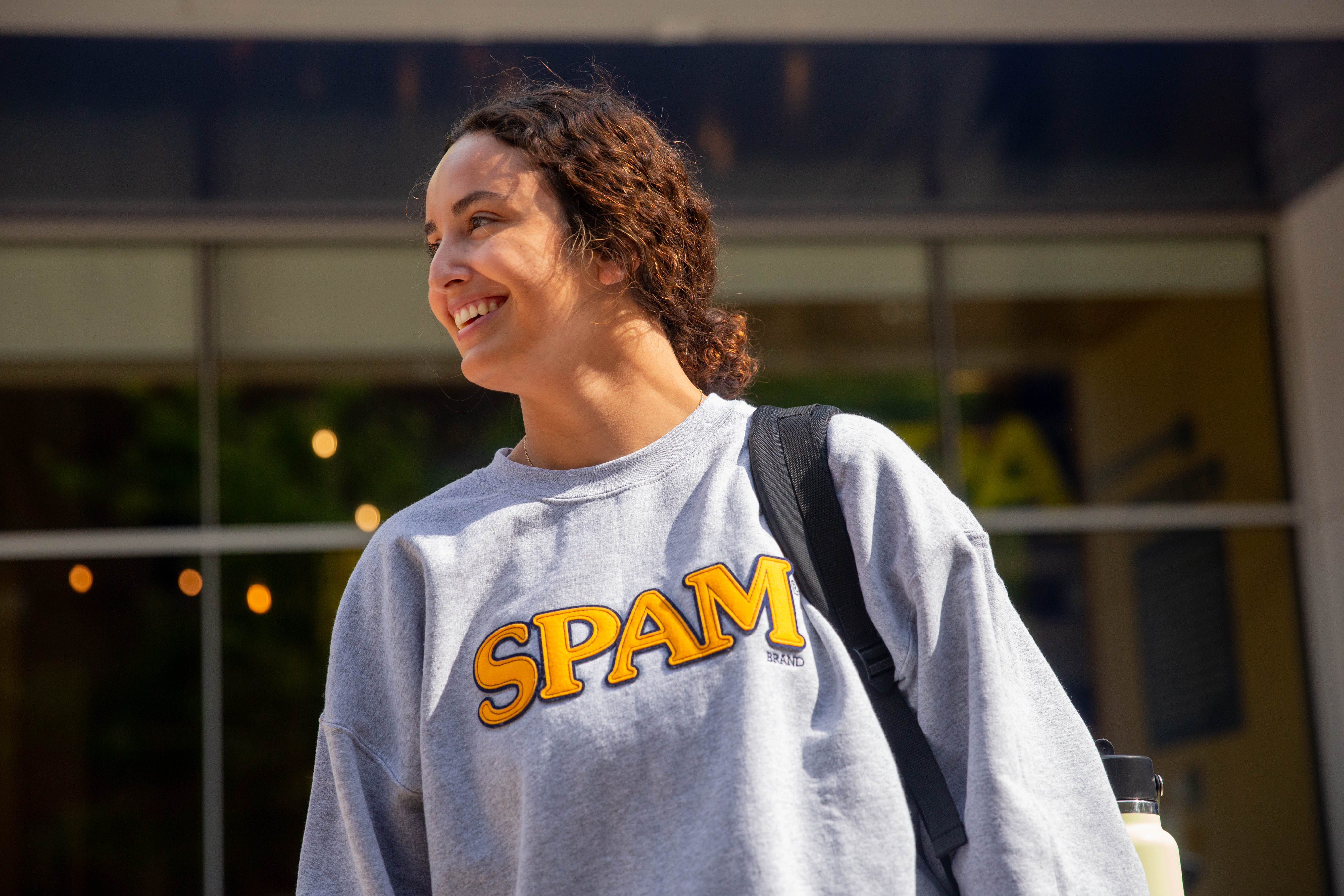 SPAM® Gray Twill Sweatshirt - Image 3